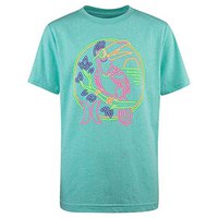 hurley-one-only-kids-short-sleeve-t-shirt