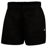 dickies-shorts-vale