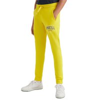 oneill-joggers-surf-state