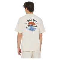 dickies-beach-kurzarm-t-shirt