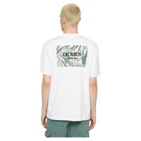 dickies-max-meadows-kurzarmeliges-t-shirt
