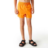 regatta-skander-iii-swimming-shorts